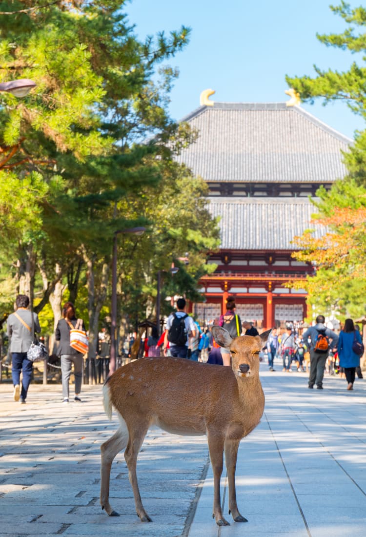 Todai-ji Temple